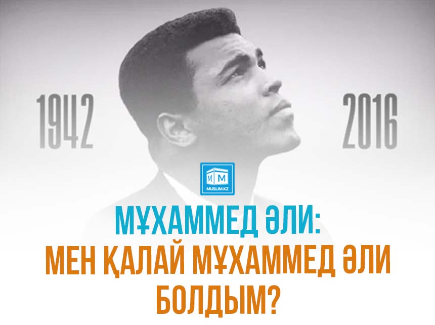 Жұқа белі бар дөңгелек есек