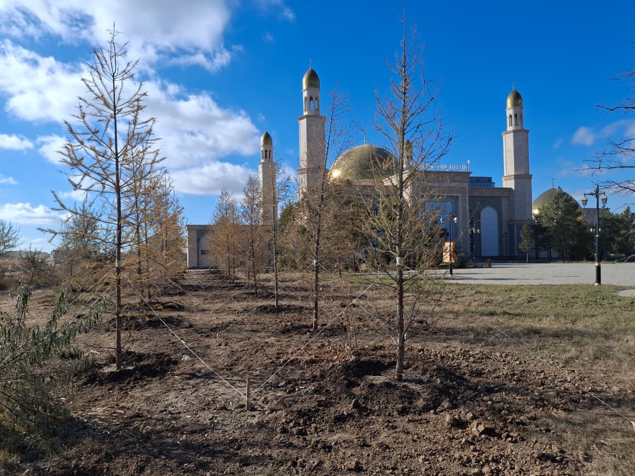 Көруге арналған шағын порно